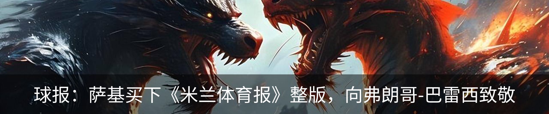 新闻动态